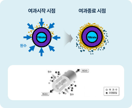 여과 공정